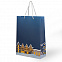 Пакет подарочный AESTHETIC с логотипом в Самаре заказать по выгодной цене в кибермаркете AvroraStore
