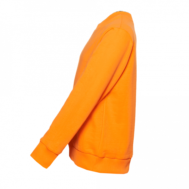 Толстовка  Оранжевый с логотипом в Самаре заказать по выгодной цене в кибермаркете AvroraStore