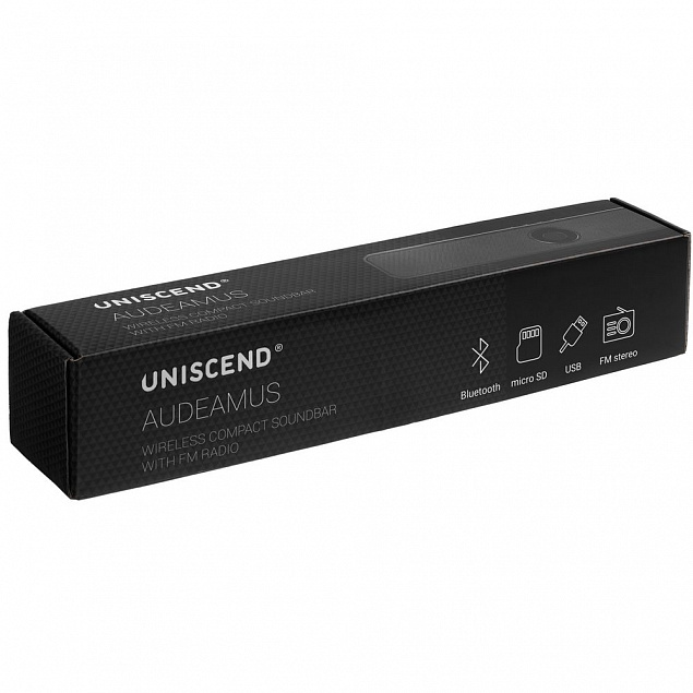 Беспроводная стереоколонка с FM-радио Uniscend Audeamus, черная с логотипом в Самаре заказать по выгодной цене в кибермаркете AvroraStore