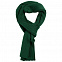 Шарф Stout, зеленый с логотипом в Самаре заказать по выгодной цене в кибермаркете AvroraStore
