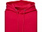 Charon Мужская толстовка с капюшоном, красный с логотипом в Самаре заказать по выгодной цене в кибермаркете AvroraStore