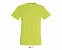 Фуфайка (футболка) REGENT мужская,Зеленое яблоко XXS с логотипом в Самаре заказать по выгодной цене в кибермаркете AvroraStore