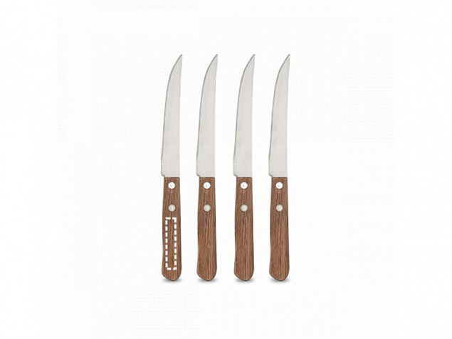 Набор из 4 ножей «CREARY» с логотипом в Самаре заказать по выгодной цене в кибермаркете AvroraStore