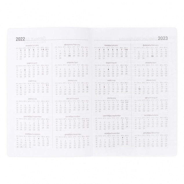 Ежедневник Basis, датированный, серый с логотипом в Самаре заказать по выгодной цене в кибермаркете AvroraStore