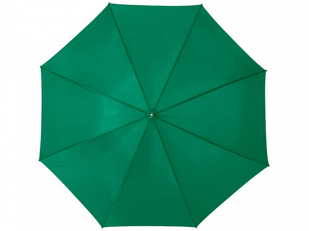 Зонт Karl 30 механический, зеленый с логотипом в Самаре заказать по выгодной цене в кибермаркете AvroraStore