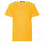 Футболка StanClass Жёлтый с логотипом в Самаре заказать по выгодной цене в кибермаркете AvroraStore