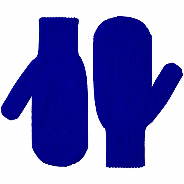 Варежки Life Explorer, синие с логотипом в Самаре заказать по выгодной цене в кибермаркете AvroraStore