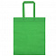 Сумка для покупок Span 70, зеленая с логотипом в Самаре заказать по выгодной цене в кибермаркете AvroraStore
