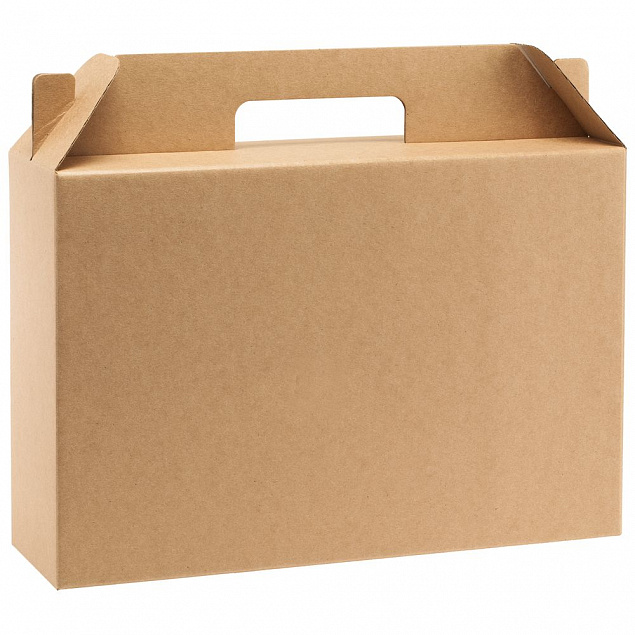 Коробка In Case L, крафт с логотипом в Самаре заказать по выгодной цене в кибермаркете AvroraStore