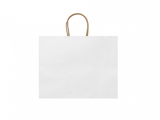 Пакет бумажный MAPLE с логотипом в Самаре заказать по выгодной цене в кибермаркете AvroraStore