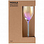 Набор из 2 бокалов для шампанского Perola с логотипом в Самаре заказать по выгодной цене в кибермаркете AvroraStore