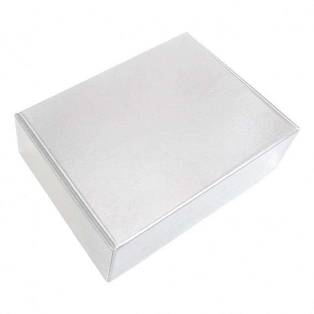 Набор Hot Box E металлик white (стальной) с логотипом в Самаре заказать по выгодной цене в кибермаркете AvroraStore