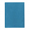 Бизнес-блокнот "Biggy", B5 формат, голубой, серый форзац, мягкая обложка, в клетку с логотипом в Самаре заказать по выгодной цене в кибермаркете AvroraStore