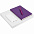Набор Flex Shall Recharge, фиолетовый с логотипом в Самаре заказать по выгодной цене в кибермаркете AvroraStore