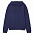 Худи унисекс Phoenix, голубое с логотипом в Самаре заказать по выгодной цене в кибермаркете AvroraStore