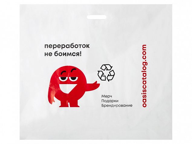 Фирменный пакет Oasis, L с логотипом в Самаре заказать по выгодной цене в кибермаркете AvroraStore