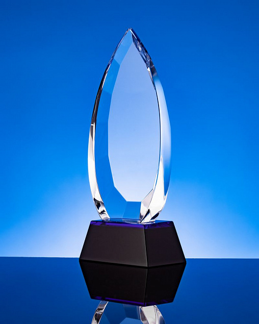 Награда Droplet с логотипом в Самаре заказать по выгодной цене в кибермаркете AvroraStore