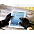 Перчатки для сенсорных экранов с логотипом в Самаре заказать по выгодной цене в кибермаркете AvroraStore