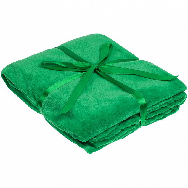 Плед Plush, зеленый с логотипом в Самаре заказать по выгодной цене в кибермаркете AvroraStore