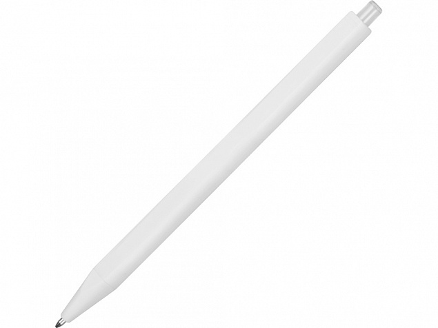Ручка пластиковая шариковая Pigra P01 с логотипом в Самаре заказать по выгодной цене в кибермаркете AvroraStore