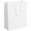 Пакет Ample M, белый с логотипом в Самаре заказать по выгодной цене в кибермаркете AvroraStore