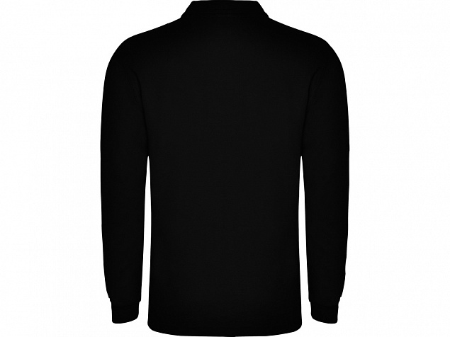 Рубашка поло «Carpe» мужская с длинным рукавом с логотипом в Самаре заказать по выгодной цене в кибермаркете AvroraStore