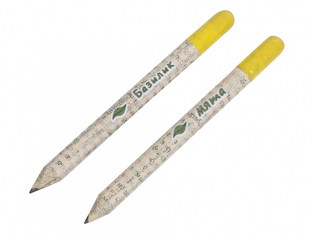 Набор «Растущий карандаш» mini, 2 шт. с семенами базилика и мяты с логотипом в Самаре заказать по выгодной цене в кибермаркете AvroraStore