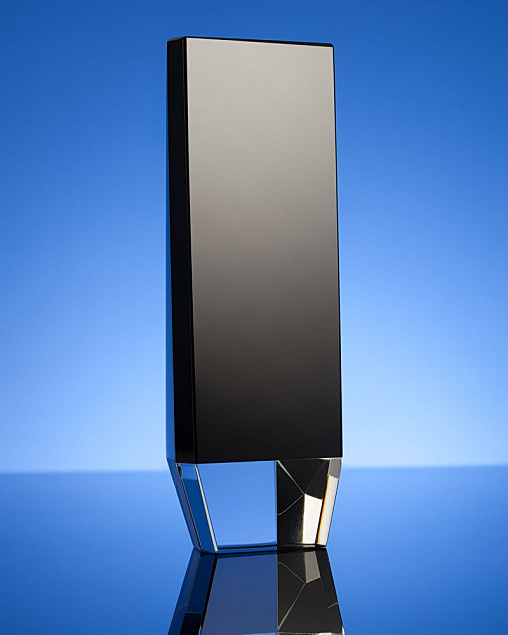 Награда Statum, малая с логотипом в Самаре заказать по выгодной цене в кибермаркете AvroraStore