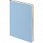 Набор Flex Shall Simple, голубой с логотипом в Самаре заказать по выгодной цене в кибермаркете AvroraStore