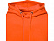 Charon Мужская толстовка с капюшоном, оранжевый с логотипом в Самаре заказать по выгодной цене в кибермаркете AvroraStore