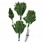 Искусственная ель Ms.Tree, 210 см с логотипом в Самаре заказать по выгодной цене в кибермаркете AvroraStore