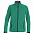 Куртка софтшелл мужская TRIAL, зеленая с логотипом в Самаре заказать по выгодной цене в кибермаркете AvroraStore