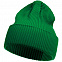 Шапка Franky, зеленая с логотипом в Самаре заказать по выгодной цене в кибермаркете AvroraStore