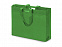 Сумка для покупок из спанбонда Scope, 380*455*160 с ручкой 550/30 мм, зеленое яблоко с логотипом в Самаре заказать по выгодной цене в кибермаркете AvroraStore