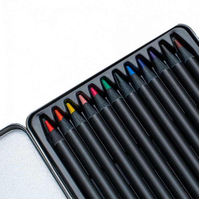 Набор цветных карандашей PROFESSIONAL, 12 цветов с логотипом в Самаре заказать по выгодной цене в кибермаркете AvroraStore