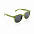 Солнцезащитные очки ECO, зеленый с логотипом в Самаре заказать по выгодной цене в кибермаркете AvroraStore
