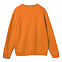 Толстовка Spider 260, оранжевая с логотипом в Самаре заказать по выгодной цене в кибермаркете AvroraStore