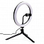 Светильник-лампа,белый,черный с логотипом в Самаре заказать по выгодной цене в кибермаркете AvroraStore