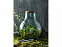 Tier Террариум из переработанного стекла с садовым набором , прозрачный с логотипом в Самаре заказать по выгодной цене в кибермаркете AvroraStore