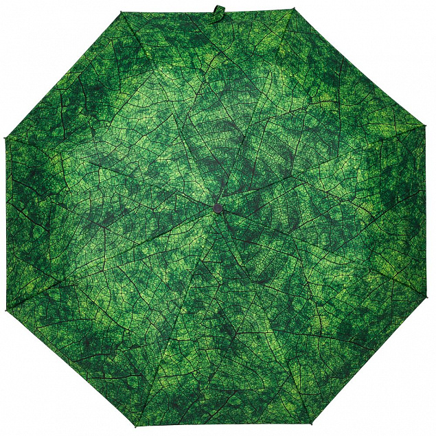 Зонт складной Evergreen с логотипом в Самаре заказать по выгодной цене в кибермаркете AvroraStore