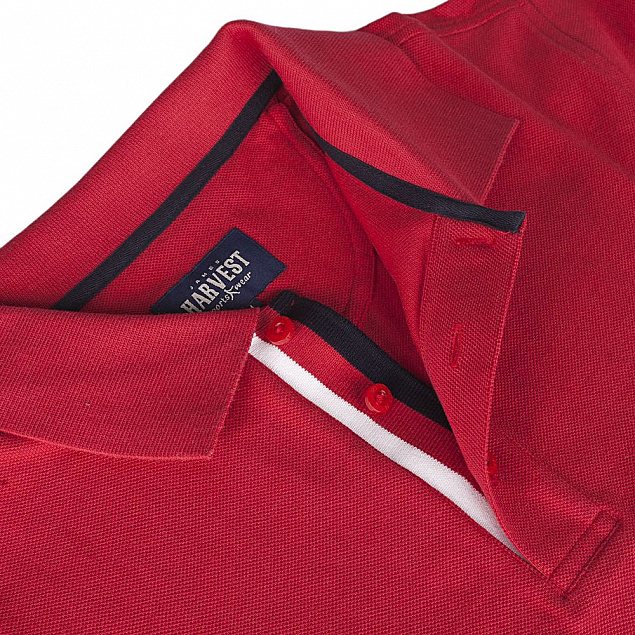 Рубашка поло мужская ANDERSON, красная с логотипом в Самаре заказать по выгодной цене в кибермаркете AvroraStore