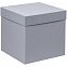 Коробка Cube L, серая с логотипом в Самаре заказать по выгодной цене в кибермаркете AvroraStore
