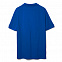 Рубашка поло мужская Adam, ярко-синяя с логотипом в Самаре заказать по выгодной цене в кибермаркете AvroraStore