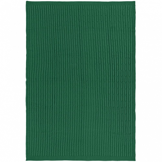 Плед Remit, темно-зеленый с логотипом в Самаре заказать по выгодной цене в кибермаркете AvroraStore