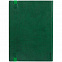 Ежедневник Vivian, недатированный, зеленый с логотипом в Самаре заказать по выгодной цене в кибермаркете AvroraStore