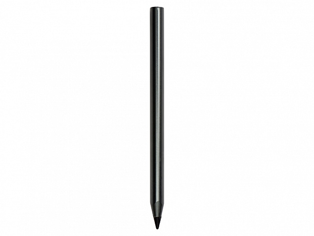 Вечный карандаш Picasso с логотипом в Самаре заказать по выгодной цене в кибермаркете AvroraStore