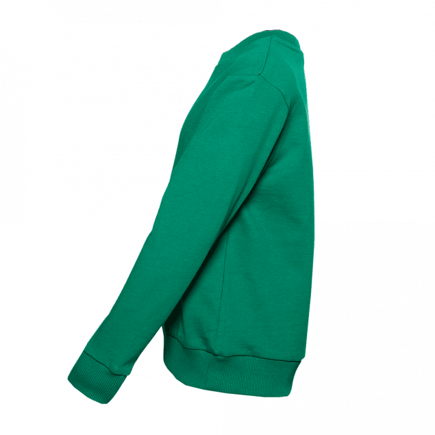Толстовка  Зелёный с логотипом в Самаре заказать по выгодной цене в кибермаркете AvroraStore