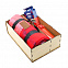 Подарочный набор Джей, красный с логотипом в Самаре заказать по выгодной цене в кибермаркете AvroraStore