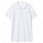 Рубашка поло мужская PHOENIX MEN, белая с логотипом в Самаре заказать по выгодной цене в кибермаркете AvroraStore