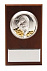 Плакетка малая «Тигр на монетах» с возможностью персонализации с логотипом в Самаре заказать по выгодной цене в кибермаркете AvroraStore